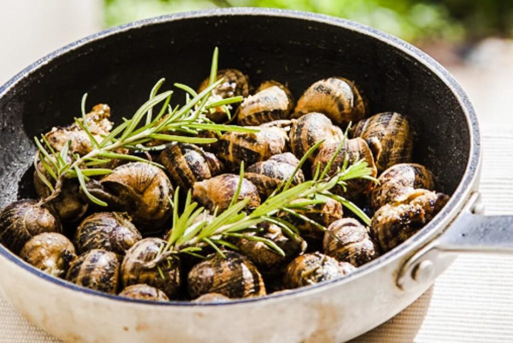 Snails with Rosemary